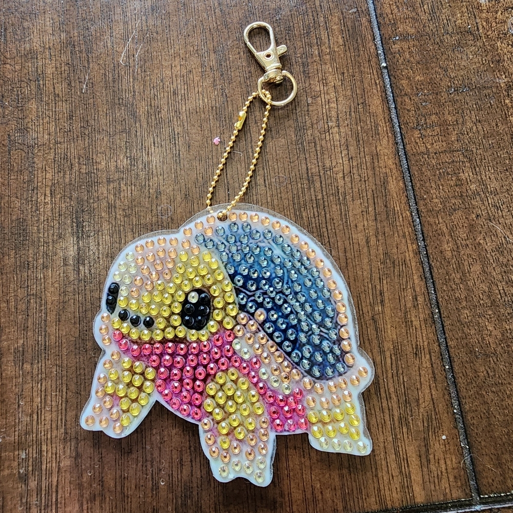 Colorful Turtle Key Holder